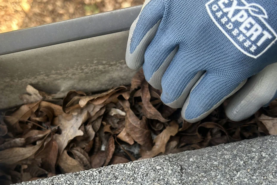 Gutter Cleaning Brookshire, TX